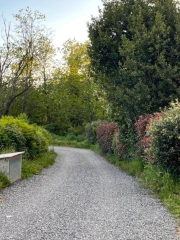 Appartamento Il Picchio Verde Altopascio Luaran gambar