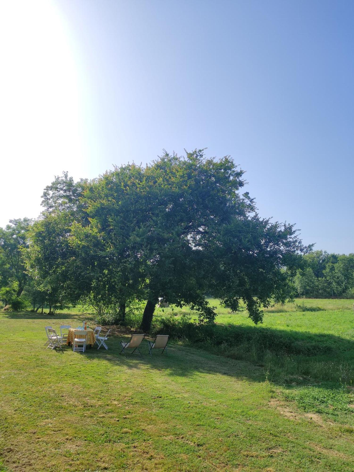 Appartamento Il Picchio Verde Altopascio Luaran gambar